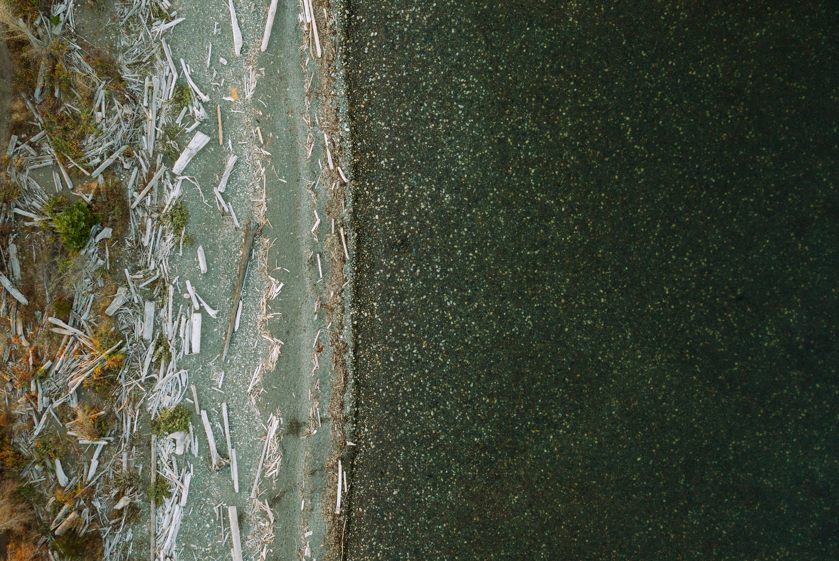 Vancouver Island Sea Salt harvesting process showing pristine coastal waters