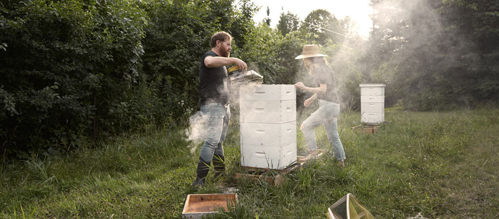 Two people in t-shirts and jeans extracting honey from a bee hive using handheld smoke containers.