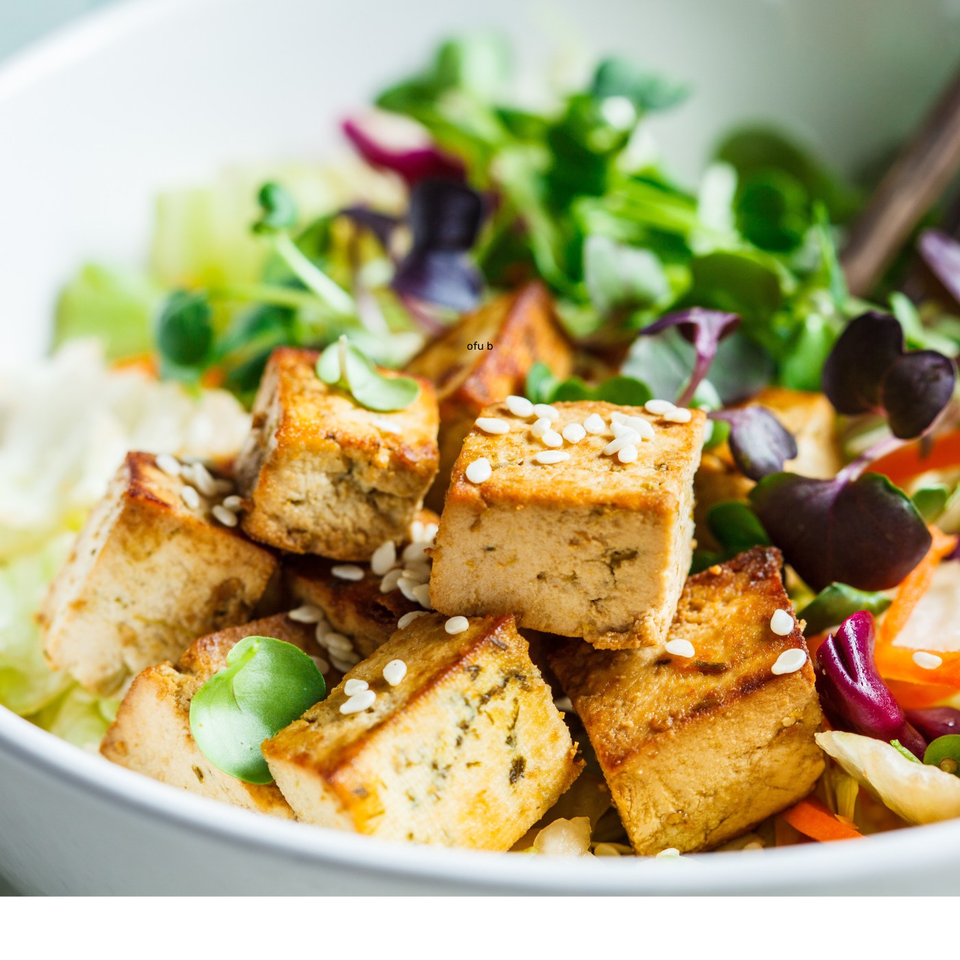 Nigari Tofu & Cheese Coagulant (237 ml Bottle)